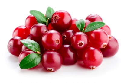 Cranberry – Superbeere aus Amerika
