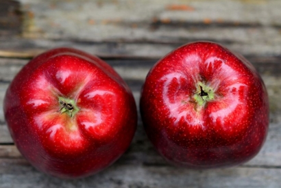 Brain Food - Power für Dein Köpfchen