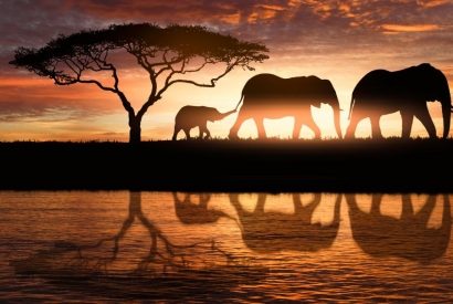 The spirit of Africa