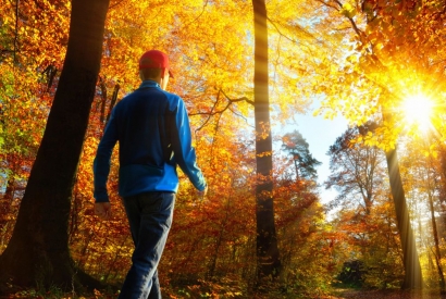 Back to the Wild: „Waldbaden“