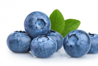 Heidelbeeren: das blaue Wunder