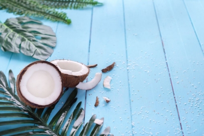 Kokosnuss – der neue Stern am Himmel