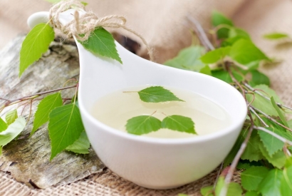 Baumquellwasser: Birkensaft