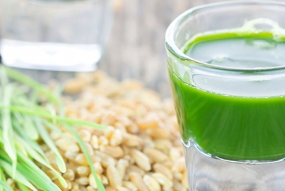 Die Kraft des Keimes - Weizengrassäfte!