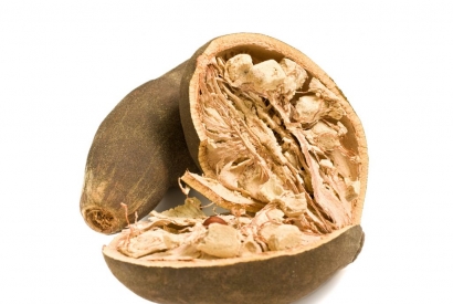 Baobab: der Apothekerbaum