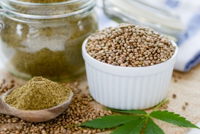 Hanf - Eine Wunderpflanze?