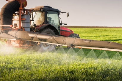 Die “Dirty Dozen” & Pestizide