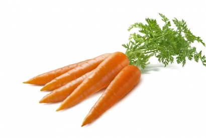 Karotten: go back to the roots