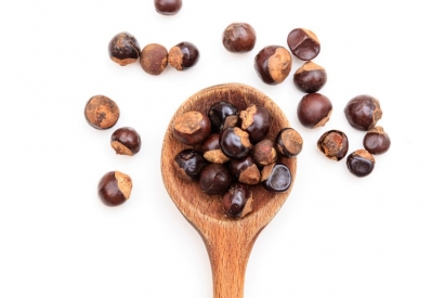 Guaraná statt Café!?