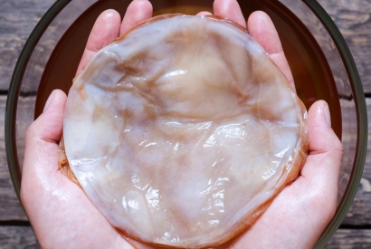 Kombucha - ein Pilz wird Mode