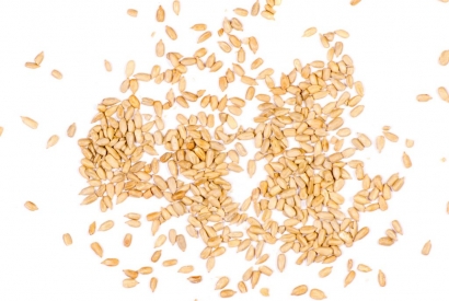 Sonnenblumenkerne: was steckt hinter dem Vogelfutter?