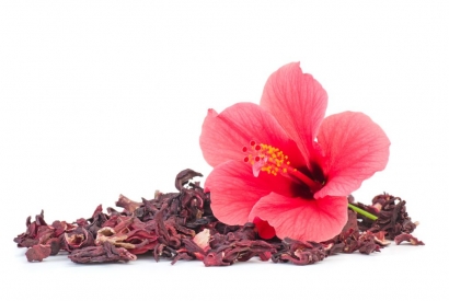 Flower Power: Hibiskus Blüten