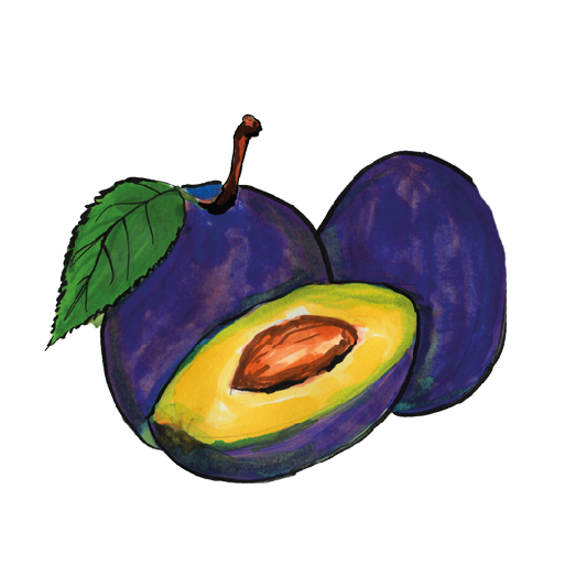 Pflaumen, getrocknet